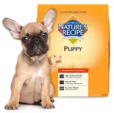 Return to a boil, reduce heat and simmer, covered, for 20 minutes, stirring occasionally to prevent rice from sticking to the bottom of the pan. Nature S Recipe Adult Lamb Rice Recipe Dry Dog Food 4 Lb Bag Chewy Com