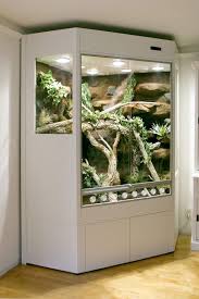 Paludarium In Deltaform Fur Australische Wasseragamen Terrarien Reptilien Terrarium Reptilienhaltung