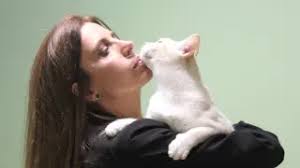 Las locas de los gatos', una obra de teatro solidaria para "difundir la  labor de las gestoras de colonias felinas"