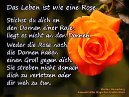 Das Leben Ist Wie Eine Rose Stichst Du Dich An Den Dornen Einer Rose Liegt Es Nicht An Den Dornen Weder Nachdenkliche Spruche Schone Spruche Zitate Leben