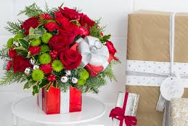 We did not find results for: The Meaning Of Different Christmas Flowers