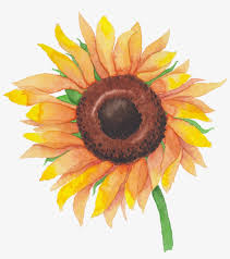 Free Free 267 Transparent Watercolor Flower Svg SVG PNG EPS DXF File