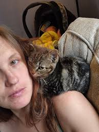 Free kitten in Dixfield, Maine