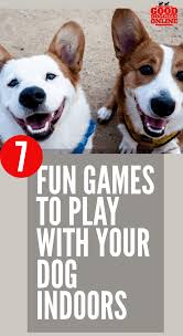 Seven Fun Games To Play With Your Dog Indoors Good Doggies Online Dog Enrichment Your Dog Good Doggies Online