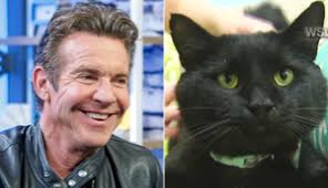 Dennis quaid is 66 and his new bride laura savoie is 27, but according to quaid it's no big deal. Dennis Quaid S Son Jack Didn T Want Help From His Famous Parents Cnn