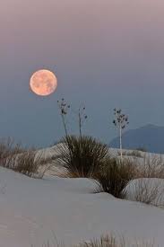 The close proximity to fort bliss and its 2400 square km range form a huge area exclusively used for military tests. White Sands National Monument New Mexico Usa