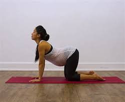 Feel free to circle the hips and shoulders as you move through your cat. Cat And Cow Pose Yoga Pregnancy Cat And Cow Pose Yoga Pregnancy Four Exercises To Ease Another Great Yoga Pose You Can Practice To Help Alleviate Any Pressure