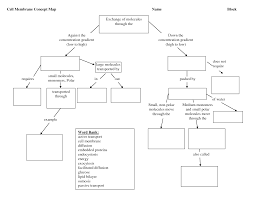 Answers And Factors Affecting Photosynthesis Worksheet