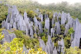 Mar 29, 2020 · gunung mulu national park has a spectacular tropical karst limestone rainforest, with stunning pinnacles and impressive cave systems. Hotel Mulu National Park Malaysia Booking Com