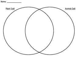 Many different animal cells have shorter cell cycles than plant cells which helps them to make copies of themselves faster. Plant Animal Cells Venn Diagram Sol 5 5 By Fifth Is Fabulous Tpt