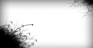Black And White Wallpaper 4k Pc Black And White Wallpaper Abstract 6922 Wallpaper Walldiskpaper Black And White Background Abstract Wallpaper Backgrounds White Background Wallpaper