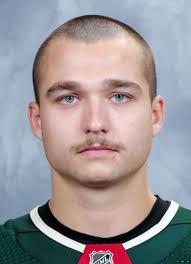 Calen Addison Hockey Stats and Profile at hockeydb.com