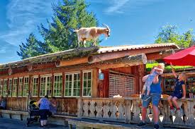 Image result for Coombs