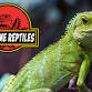 Fort Wayne Reptile Expo (Show Me Reptile Show)
