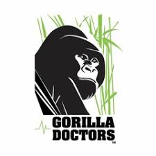 On cold days, gorillas stay near their sleeping areas and gorillas have both physical adaptations, such as their teeth and fur, and behavioral. How Does Gorilla Doctors Embody The One Health Approach By Gorilla Doctors
