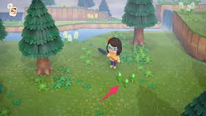 Here's everything you need to know about how to plant trees and flowers in animal crossing new horizons. Animal Crossing New Horizons How To Move Flowers Superparent
