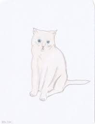 white cat sitting by ro cat art cat sitting white cat