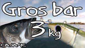 Peche En Mer Prise En Direct D Un Gros Bar De 3kg Au Black Minnow Aux Glenan Peche En Mer Peche Direction