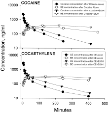 Cocaethylene Metabolism And Interaction With Cocaine And