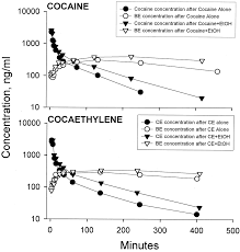 cocaethylene metabolism and interaction with cocaine and