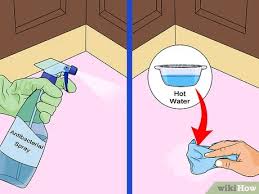 A pest control specialist will be able to help you find out where the maggots are i found a bunch of maggots in my mother's trash can and didn't know how to get rid of them. 4 Ways To Get Rid Of A Maggot Infestation Wikihow