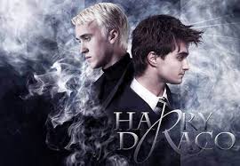 Image result for images of major characters and his blood in Harry potter