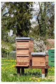Du brauchst zu allererst ein bienenhaus wie beispielsweise eine einfache holzbeute. Sendlinger Schwarm Bienenstand Bienen Bienenzucht Im Garten Bienenhaltung