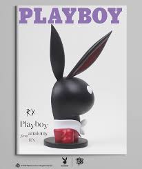 ZCWO x PLAYBOY x RX Strip #1 Playboy Anatomy - The Toy Chronicle