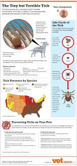 Ticks Are In Abundance Do A Tick Check Every Day Ticks On Dogs Dog Infographic Dog Care
