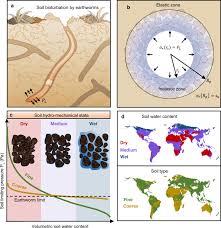 Check flight prices and hotel availability for your visit. Global Earthworm Distribution And Activity Windows Based On Soil Hydromechanical Constraints Communications Biology