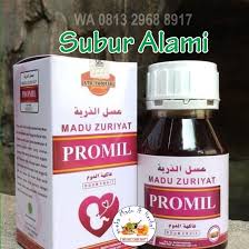 Grosir Wa O813 2968 8917 Promil Marabahan Distributor Madu Herbal Agen Madu Kesehatan Di 2020 Obat Alami Madu Kesuburan