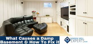 It is created when warm, moist air from. What Causes A Damp Basement And How To Fix It Window Well Experts