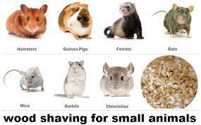 They're about the same maintenance. China Emily Pets Wood Shaving For Small Animals Hamster Chinchilla And Rabbit Dalian Puyuan International Trade Co Ltd Ecplaza Net