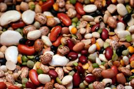 Kacang hijau memiliki banyak protein nabati yang ada didalamnya. Kacang Jenis Dan Jenis Gambar Dengan Keterangan