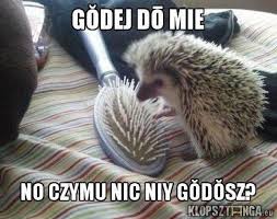 Losowanie nagród odbędzie się 6 października. Memy Pogoda Artykuly Nowa Trybuna Opolska