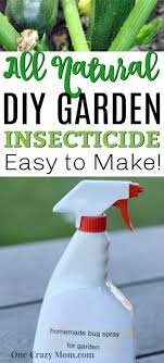 How To Make Homemade Insecticide All Natural Pesticide Homemade Insecticide Natural Pesticides Natural Insecticide