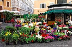 Consorzio degli operatori del cc campo dei fiori. Campo Dei Fiori Rome Flower Market Christmas In Italy Farmers Market Flowers