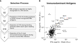 Giovanna mallucci assesses the autobiography of stanley prusiner, the discoverer of prions. Frontiers Rescuing Esat 6 Specific Cd4 T Cells From Terminal Differentiation Is Critical For Long Term Control Of Murine Mtb Infection Immunology