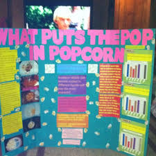 Biology Science Fair Projects For 8th Grade 8th Grade Science Fair 2012 Science Fair Projects Science Fair 8th Grade Science Projects