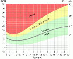 1 1 putting an end to childhood obesity