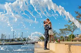 Get married for a price you can afford in the bay! San Diego Beach Elopement Small Courthouse Elopement Weddings Venues Reception