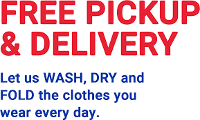 Appliances, bathroom decorating ideas, kitchen remodeling, patio furniture, power tools, bbq grills, carpeting, lumber, concrete, lighting, ceiling fans and more at the home depot. Tampa Bay Dry Cleaners Dry Cleaning Service Sun Country Cleaners