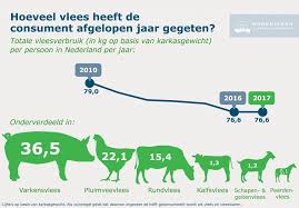 Door een week geen vlees eten bespaar je: Wat Eten We In De Week Zonder Vlees Voeding