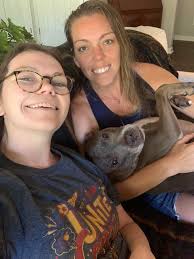 I want to ask our members for advise