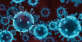 Below is a snapshot of key metrics pulled from daily data reporting to the ohio department of health. What Is Covid 19 And How Should We Respond To Coronavirus As Healthcare Professionals