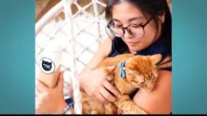 Click here to learn more. Popoki And Tea New Cat Cafe Khon2