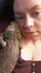 So my son got a bearded dragon for Christmas and he wants to lay around and  snuggle him all day! The bearded dragon doesn't seem to mind at all he  cuddles up