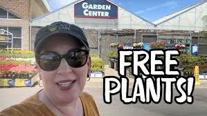 How To Grow An Easy Pollinator Garden