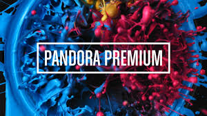 A rite of passage for musicians is having a song on the top 40 hits radio chart. How Does Pandora Offline Work Leawo Tutorial Center