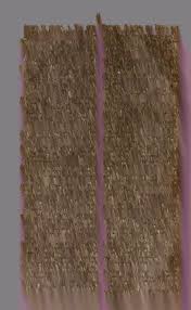 Image result for Centemopsis longipedunculata